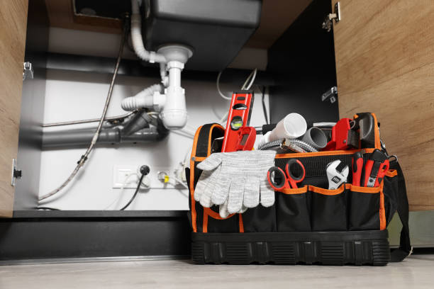 Best Clogged Drain Plumber  in Pine Hills, FL